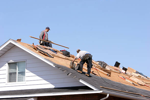 Best Storm Damage Roof Repair  in Kingstown, MD